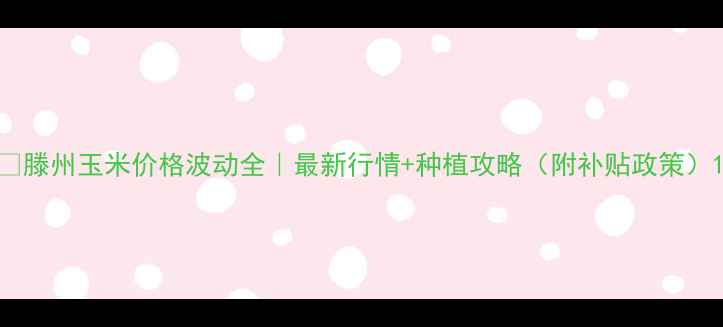 图片 🌽滕州玉米价格波动全｜最新行情+种植攻略（附补贴政策）1