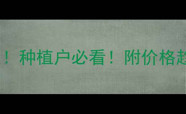 图片 🌽玉米价格今日行情速递！种植户必看！附价格趋势+收购价预测（附图）