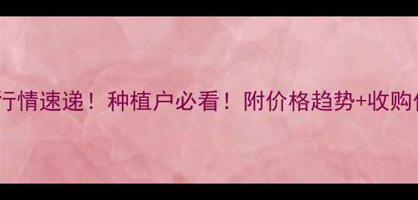 图片 🌽玉米价格今日行情速递！种植户必看！附价格趋势+收购价预测（附图）2