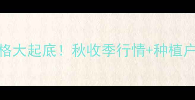 图片 🌽玉米价格大起底！秋收季行情+种植户必看技巧