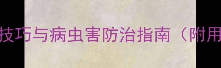 图片 🌽玉米种植全攻略：科学施药技巧与病虫害防治指南（附用药时间表+安全操作视频）🌽2