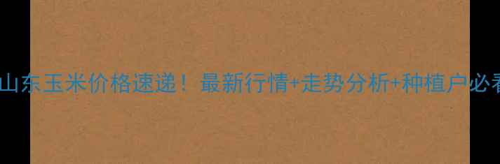 图片 🌾19日山东玉米价格速递！最新行情+走势分析+种植户必看！🌾1