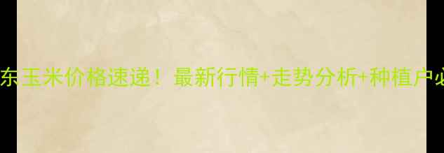 图片 🌾19日山东玉米价格速递！最新行情+走势分析+种植户必看！🌾2