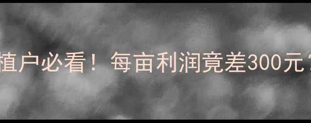 图片 🌾3月玉米价格全🔥种植户必看！每亩利润竟差300元？附历史数据对比表💰