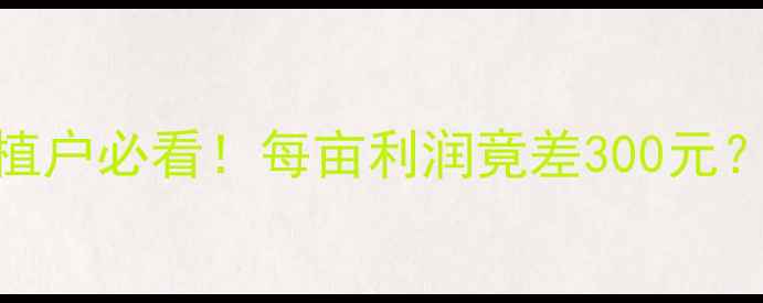 图片 🌾3月玉米价格全🔥种植户必看！每亩利润竟差300元？附历史数据对比表💰1