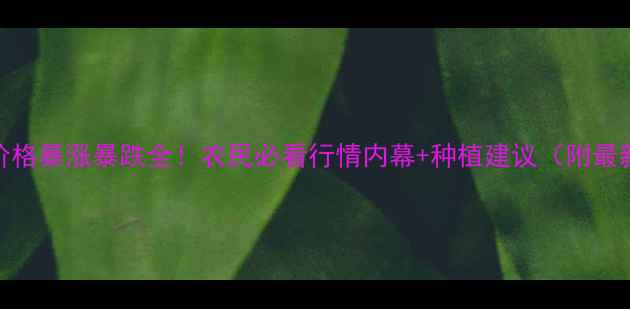 图片 🌾3月豆油价格暴涨暴跌全！农民必看行情内幕+种植建议（附最新数据）🌾1