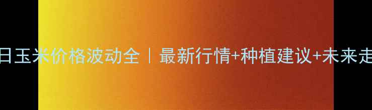 图片 🌾8月24日玉米价格波动全｜最新行情+种植建议+未来走势预测1