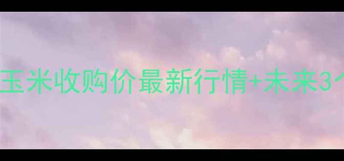 图片 🌾9月玉米价格波动全！全国玉米收购价最新行情+未来3个月走势预测（附详细数据）