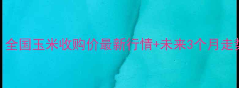 图片 🌾9月玉米价格波动全！全国玉米收购价最新行情+未来3个月走势预测（附详细数据）1