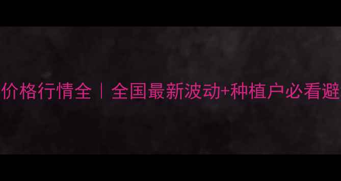 图片 🌾9月稻谷价格行情全｜全国最新波动+种植户必看避坑指南💰2