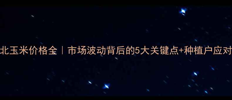 图片 🌾东北玉米价格全｜市场波动背后的5大关键点+种植户应对指南