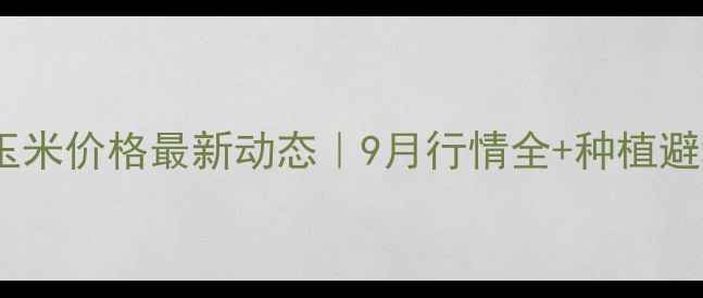 图片 🌾东营玉米价格最新动态｜9月行情全+种植避坑指南1