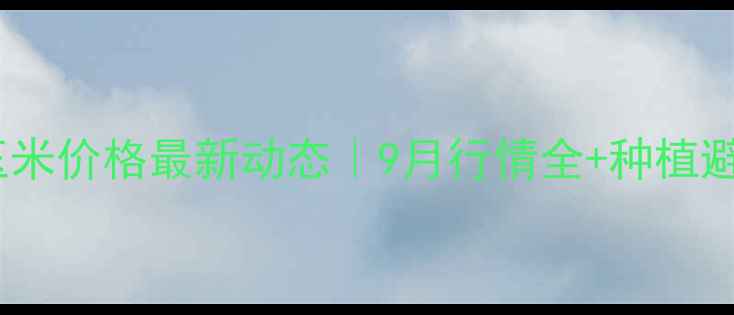 图片 🌾东营玉米价格最新动态｜9月行情全+种植避坑指南2