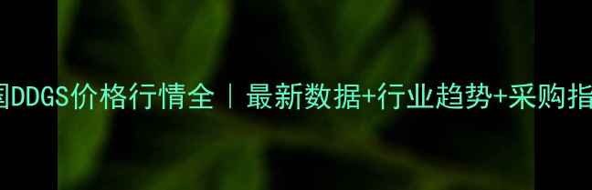 图片 🌾中国DDGS价格行情全｜最新数据+行业趋势+采购指南📈1
