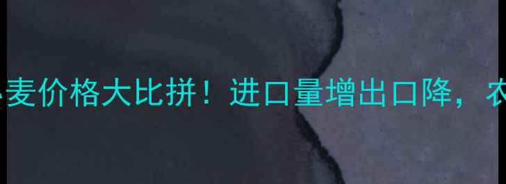 图片 🌾中国小麦VS国际小麦价格大比拼！进口量增出口降，农民必看市场趋势💰1