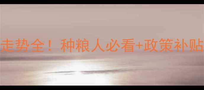 图片 🌾中国粮食价格走势全！种粮人必看+政策补贴+市场避坑指南1