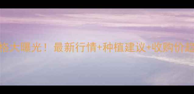 图片 🌾今日佳木斯玉米价格大曝光！最新行情+种植建议+收购价趋势（附详细数据）📈