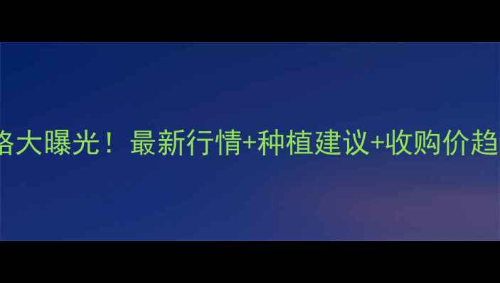 图片 🌾今日佳木斯玉米价格大曝光！最新行情+种植建议+收购价趋势（附详细数据）📈2