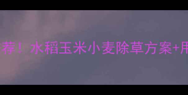 图片 🌾全国苗后除草剂最新推荐！水稻玉米小麦除草方案+用药指南（附避坑提醒）1