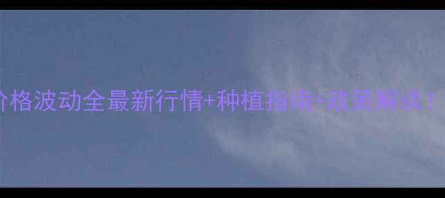 图片 🌾内蒙古玉米价格波动全最新行情+种植指南+政策解读！种粮人必看🔥2