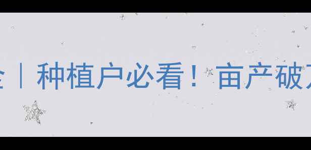 图片 🌾内蒙赤峰玉米价格全｜种植户必看！亩产破万攻略+政策补贴清单1