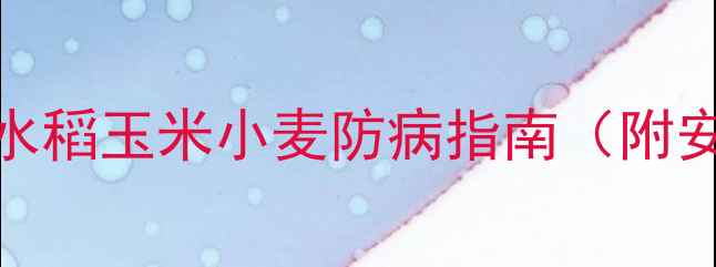 图片 🌾农药咪鲜胺全攻略｜水稻玉米小麦防病指南（附安全配比表+药害急救）2