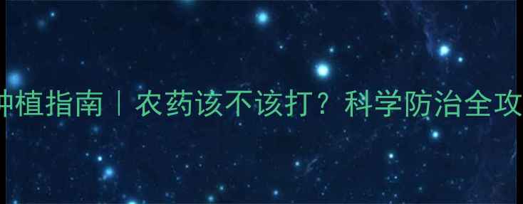 图片 🌾冬小麦种植指南｜农药该不该打？科学防治全攻略来了！2