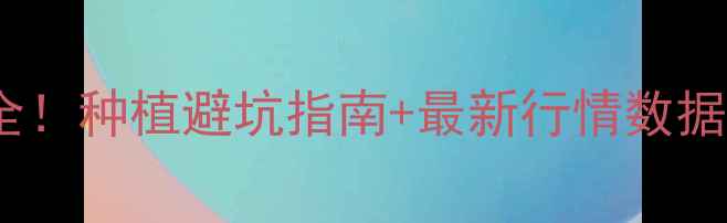 图片 🌾加拿大菜籽价格波动全！种植避坑指南+最新行情数据（附种植补贴政策）🌱1