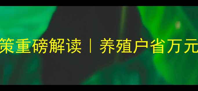 图片 🌾动物饲料免税政策重磅解读｜养殖户省万元攻略+申请全流程2