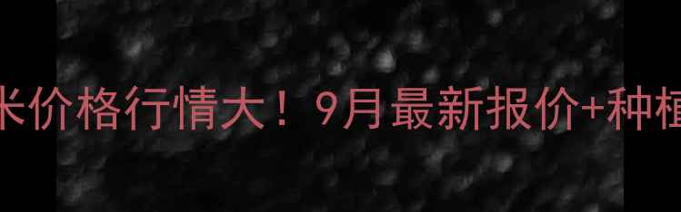 图片 🌾吉林扶余玉米价格行情大！9月最新报价+种植户避坑指南🌾