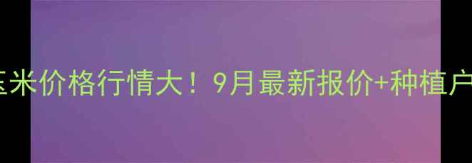 图片 🌾吉林扶余玉米价格行情大！9月最新报价+种植户避坑指南🌾2
