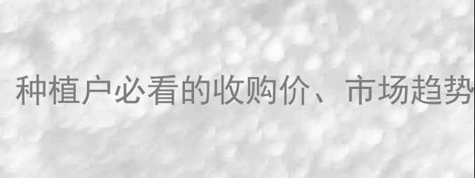 图片 🌾哈尔滨玉米价格最新行情｜种植户必看的收购价、市场趋势和应对策略（附详细数据）1
