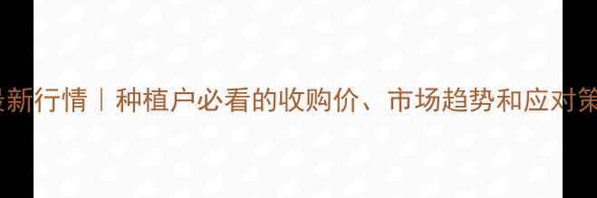 图片 🌾哈尔滨玉米价格最新行情｜种植户必看的收购价、市场趋势和应对策略（附详细数据）2