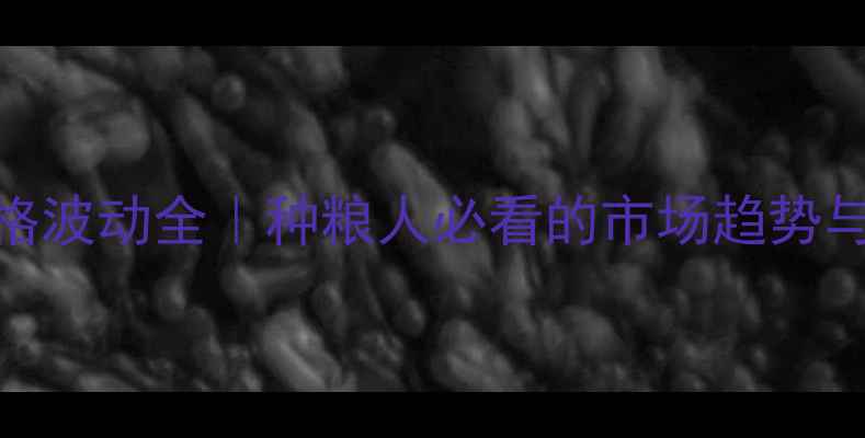 图片 🌾大米价格波动全｜种粮人必看的市场趋势与应对指南