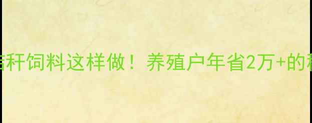 图片 🌾大豆秸秆饲料这样做！养殖户年省2万+的秘诀🐄💰