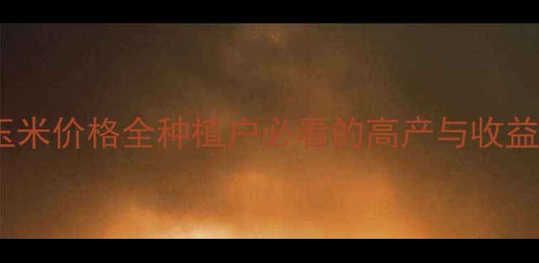 图片 🌾宁夏玉米价格全种植户必看的高产与收益指南🌾1