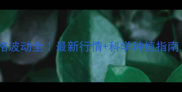 图片 🌾尉氏县玉米价格波动全｜最新行情+科学种植指南（附政策补贴）2