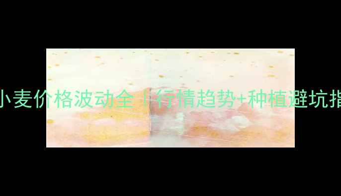 图片 🌾小麦价格波动全｜行情趋势+种植避坑指南