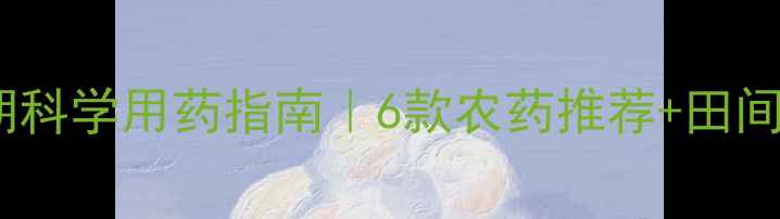 图片 🌾小麦分蘖期科学用药指南｜6款农药推荐+田间管理全攻略1