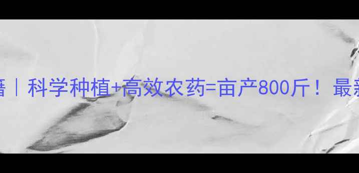 图片 🌾小麦增产秘籍｜科学种植+高效农药=亩产800斤！最新技术全公开💡