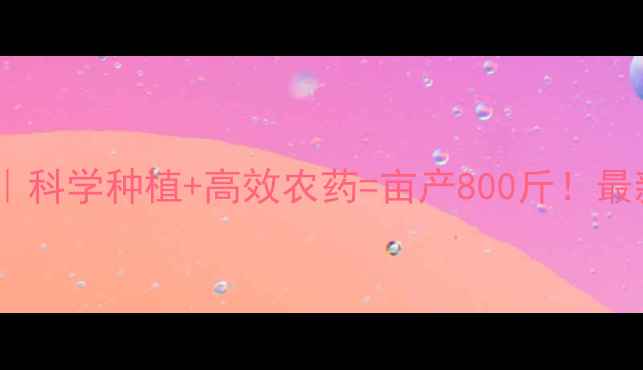 图片 🌾小麦增产秘籍｜科学种植+高效农药=亩产800斤！最新技术全公开💡2