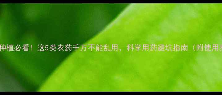图片 🌾小麦种植必看！这5类农药千万不能乱用，科学用药避坑指南（附使用技巧）2