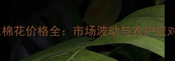 图片 🌾山东棉花价格全：市场波动与农户应对策略2