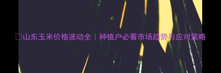 图片 🌾山东玉米价格波动全｜种植户必看市场趋势与应对策略
