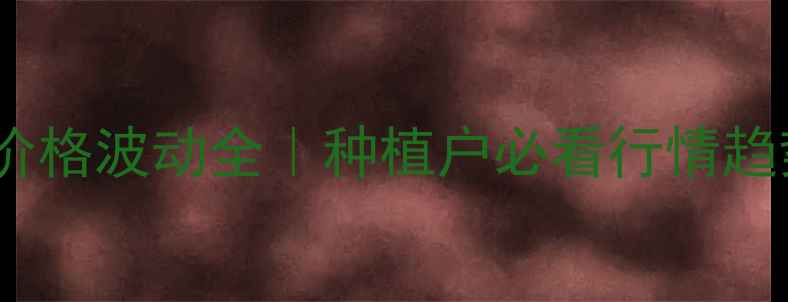 图片 🌾山东玉米价格波动全｜种植户必看行情趋势+避坑指南