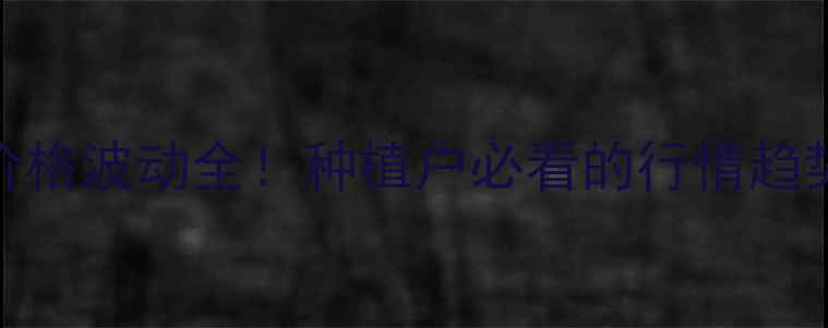 图片 🌾山西玉米价格波动全！种植户必看的行情趋势与应对策略