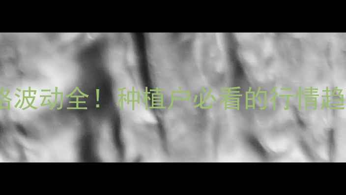 图片 🌾山西玉米价格波动全！种植户必看的行情趋势与应对策略1