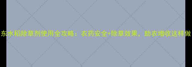 图片 🌾川东水稻除草剂使用全攻略：农药安全+除草效果，助农增收这样做！💧