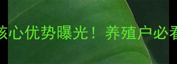 图片 🌾文登邦基饲料5大核心优势曝光！养殖户必看的高效养殖方案🐟1