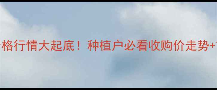 图片 🌾新玉米价格行情大起底！种植户必看收购价走势+市场分析🌾